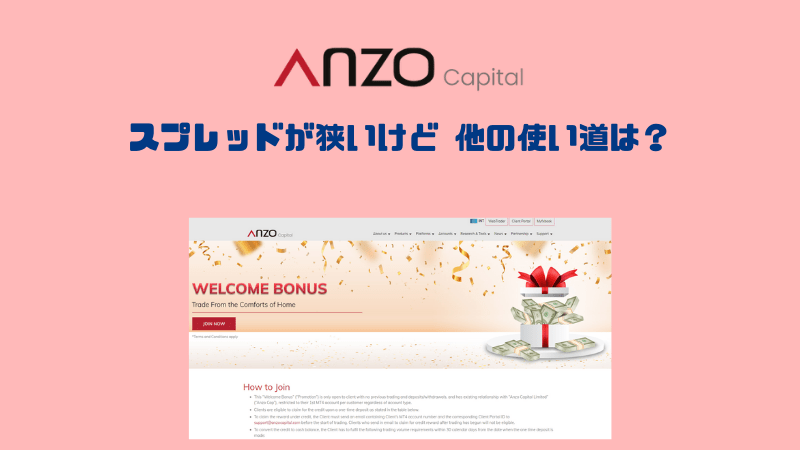 AnzoCapital Limitedの評判